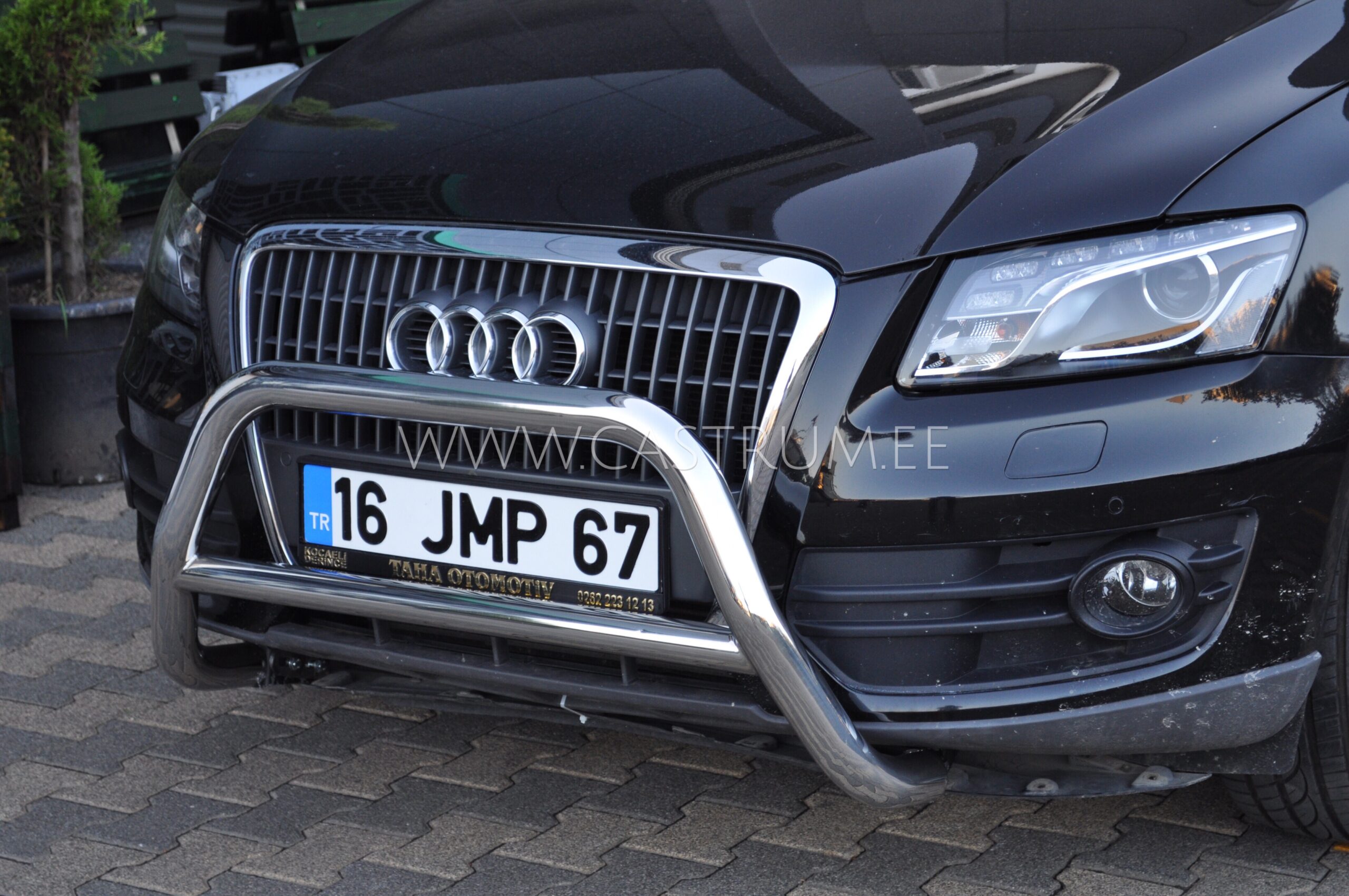 Esiraud WT005 Colt - Image 2