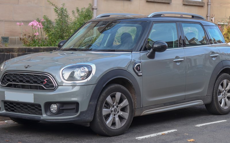 Countryman R60