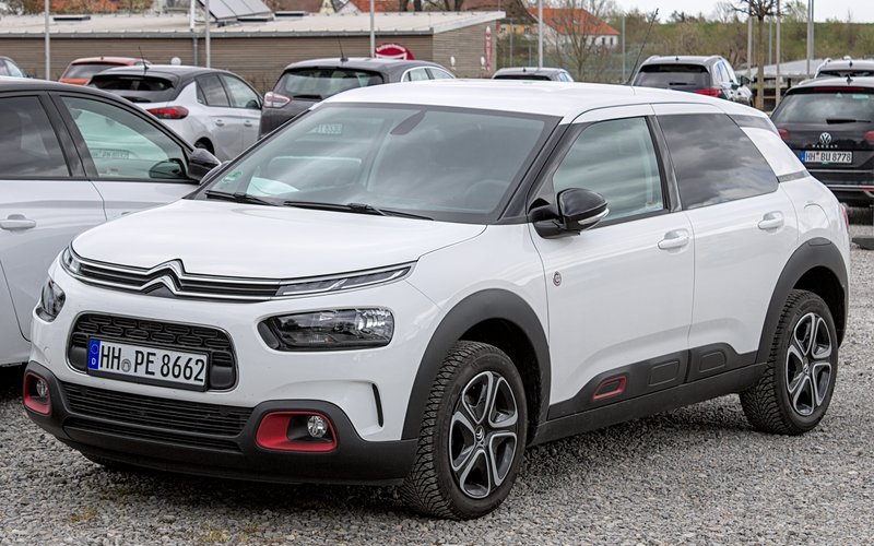 C4 Cactus