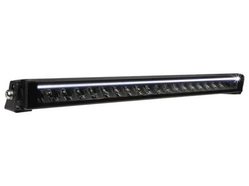 W-Light VORTEX